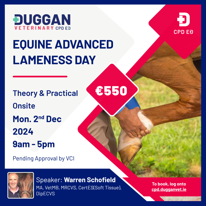 Equine Advanced Lameness Day - Seminar and Wetlab - Module 2
