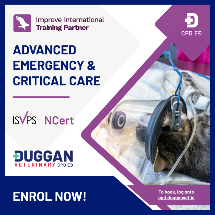 Improve International Advanced Certificate in Emergency and Critical Care 