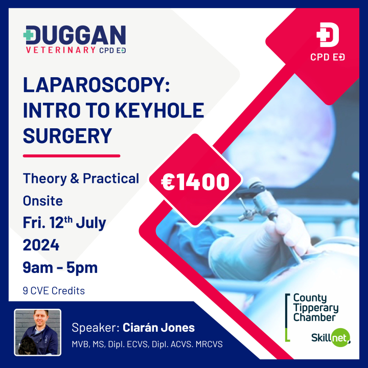 Laparoscopy An introduction to keyhole surgery 