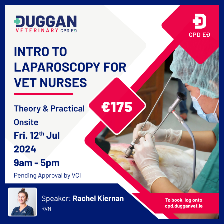 Introduction to Laparoscopy Course for Veterinary Nurses 