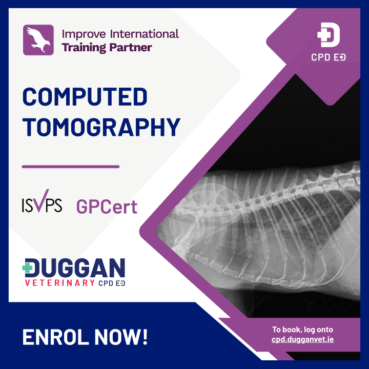 Improve International Computed Tomography Online