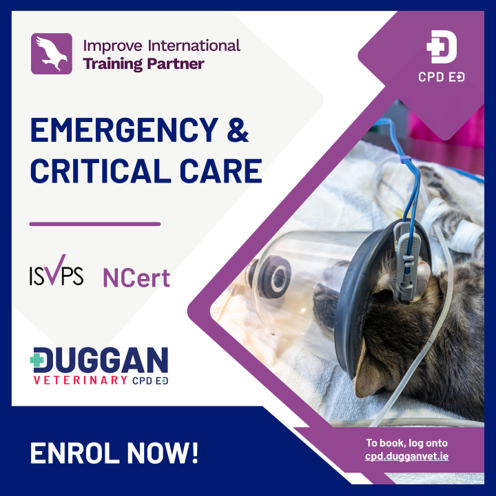 Improve International Nursing Certificate in Emergency & Critical Care Online 