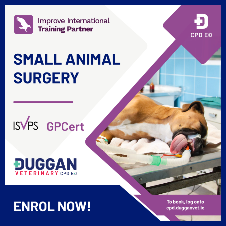 Improve International Small Animal Surgery Blended learning