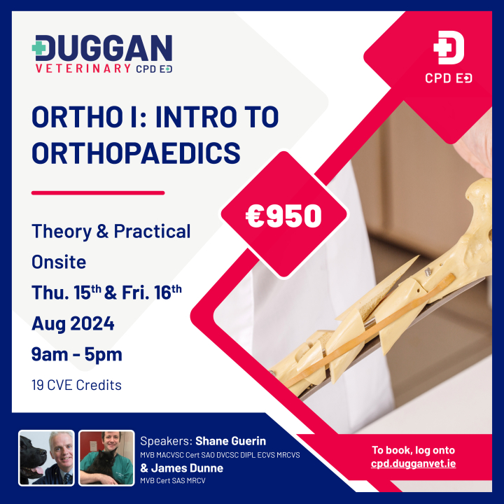 Orthopaedics I: An Introduction to Orthopaedics