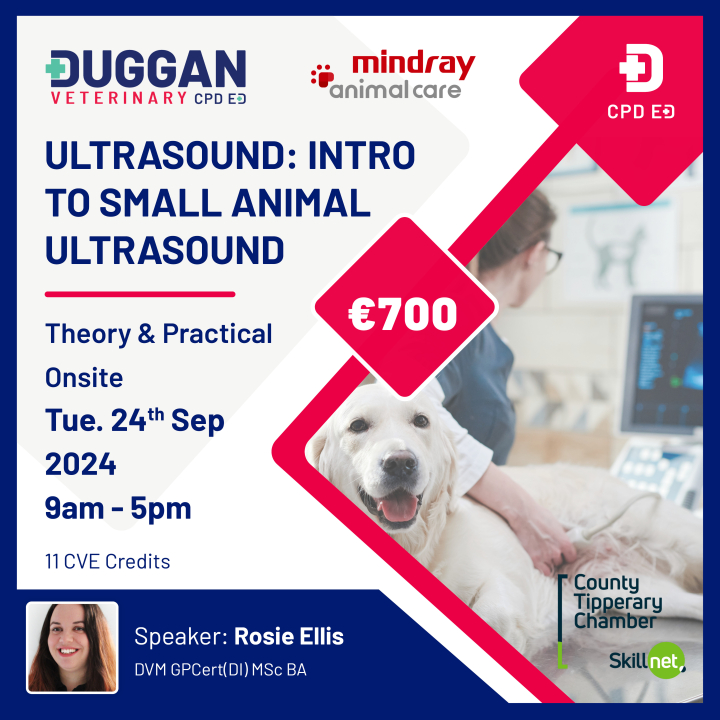 Ultrasound - An Introduction to Small Animal Ultrasound 