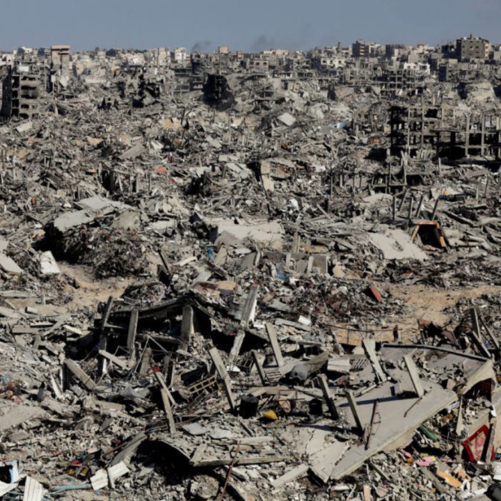 One Health for Palestine Webinar